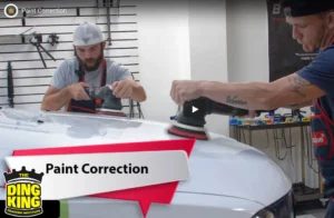 Paint Correction Training